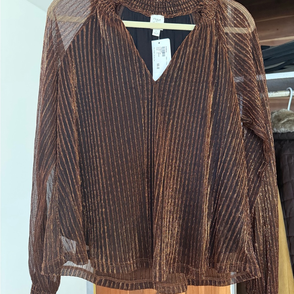 Sheer Amber Striped Blouse